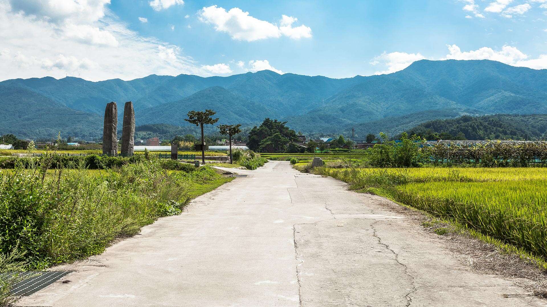 海波朗路第37路線