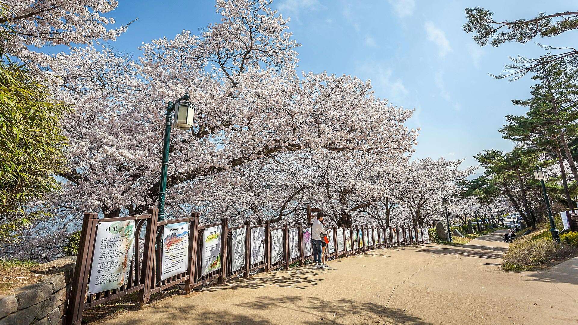 바우길 11코스
