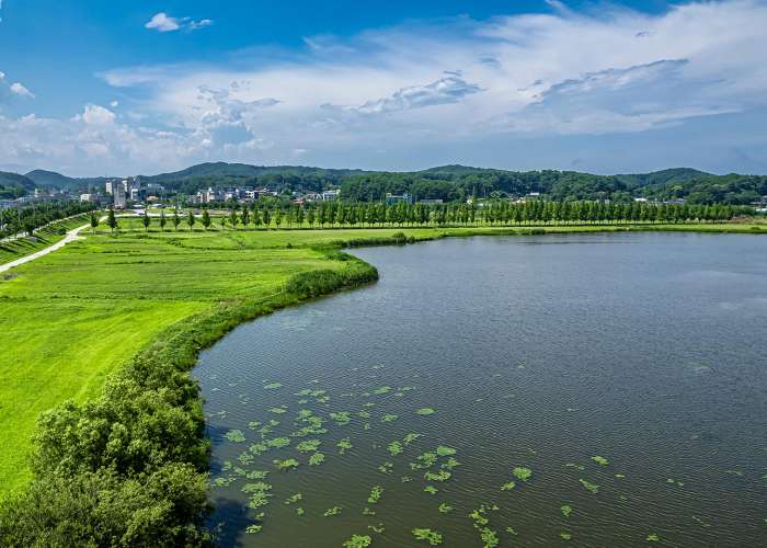 Gyeongpo Ecological Retention Basin