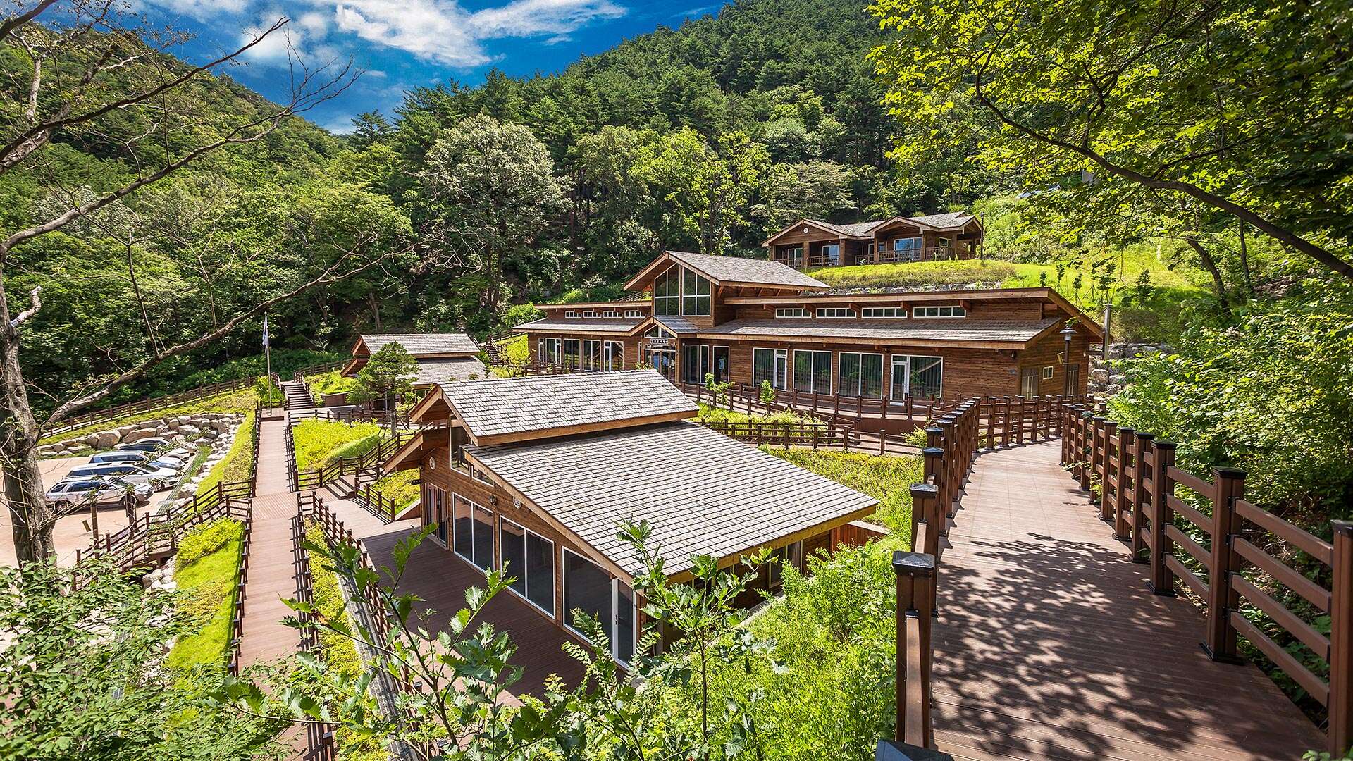 National Daegwallyeong Healing Forest