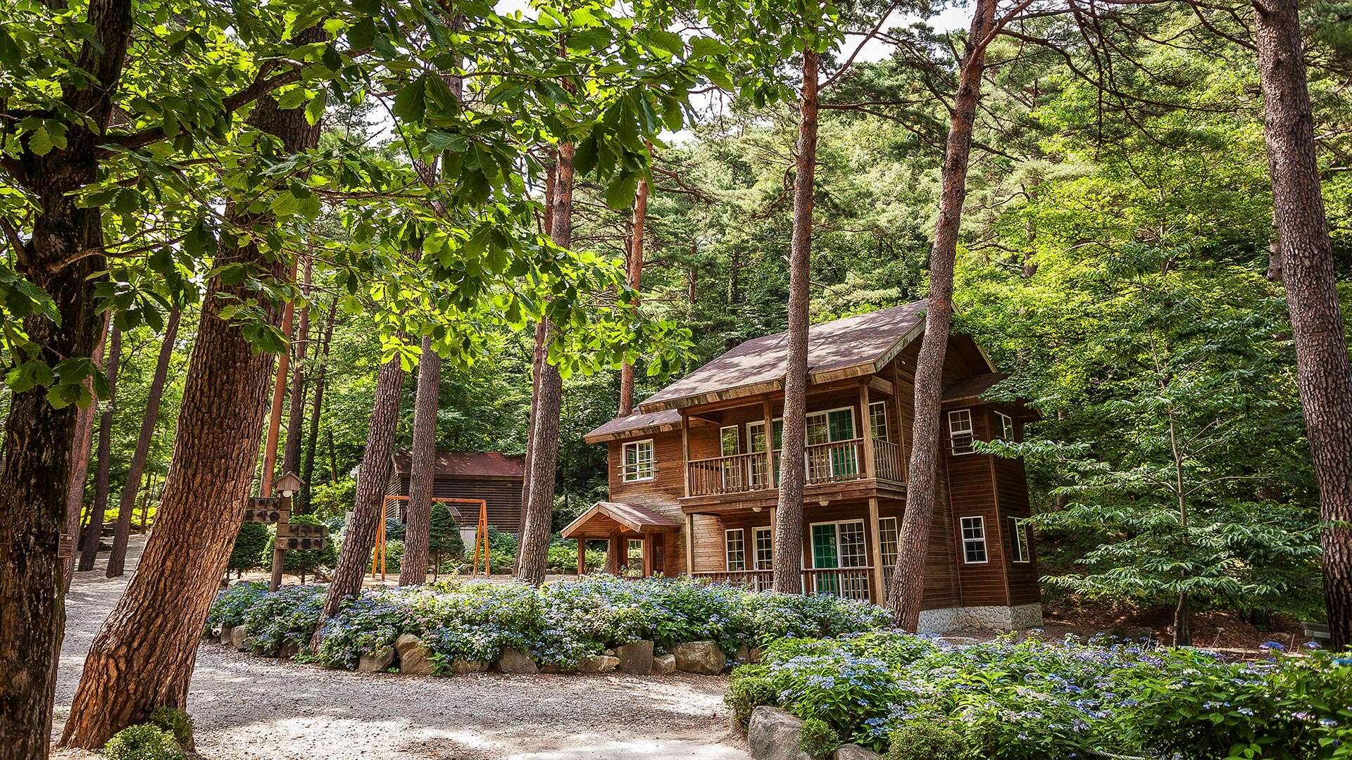 Daegwallyeong Natural Recreation Forest