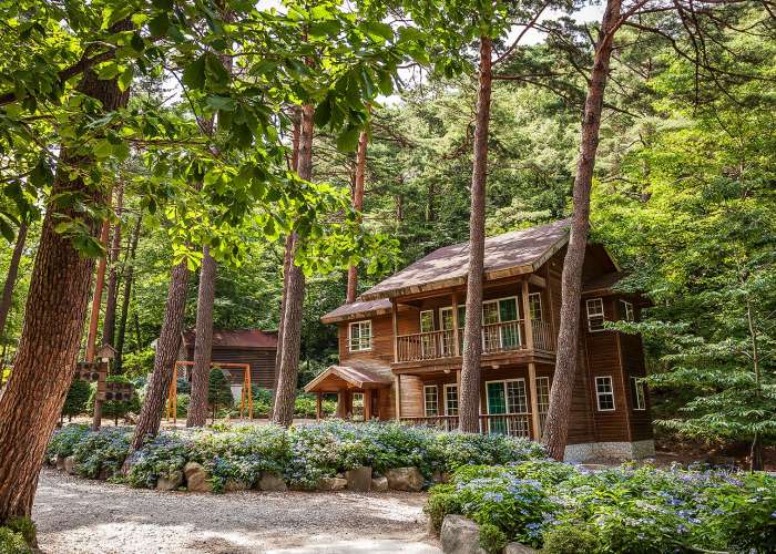 Daegwallyeong Natural Recreation Forest