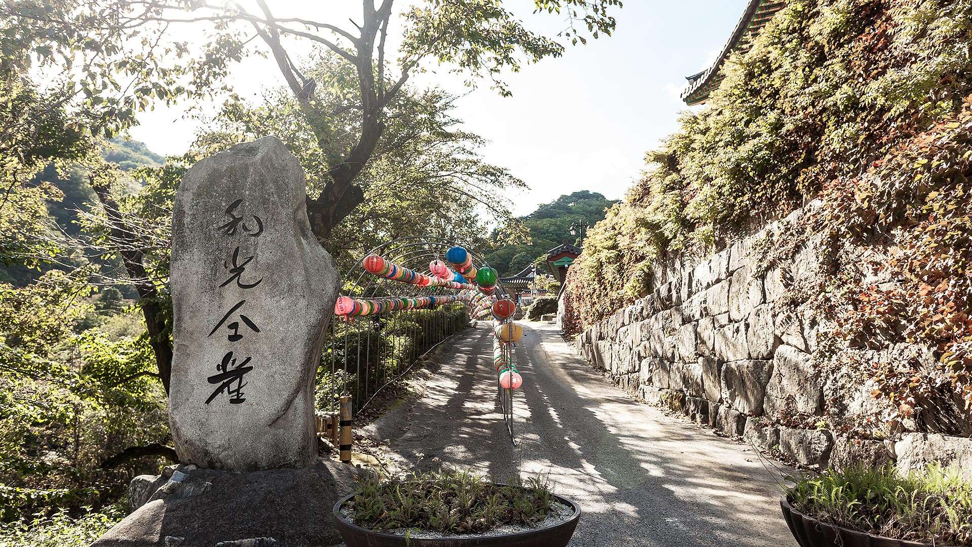 普賢寺