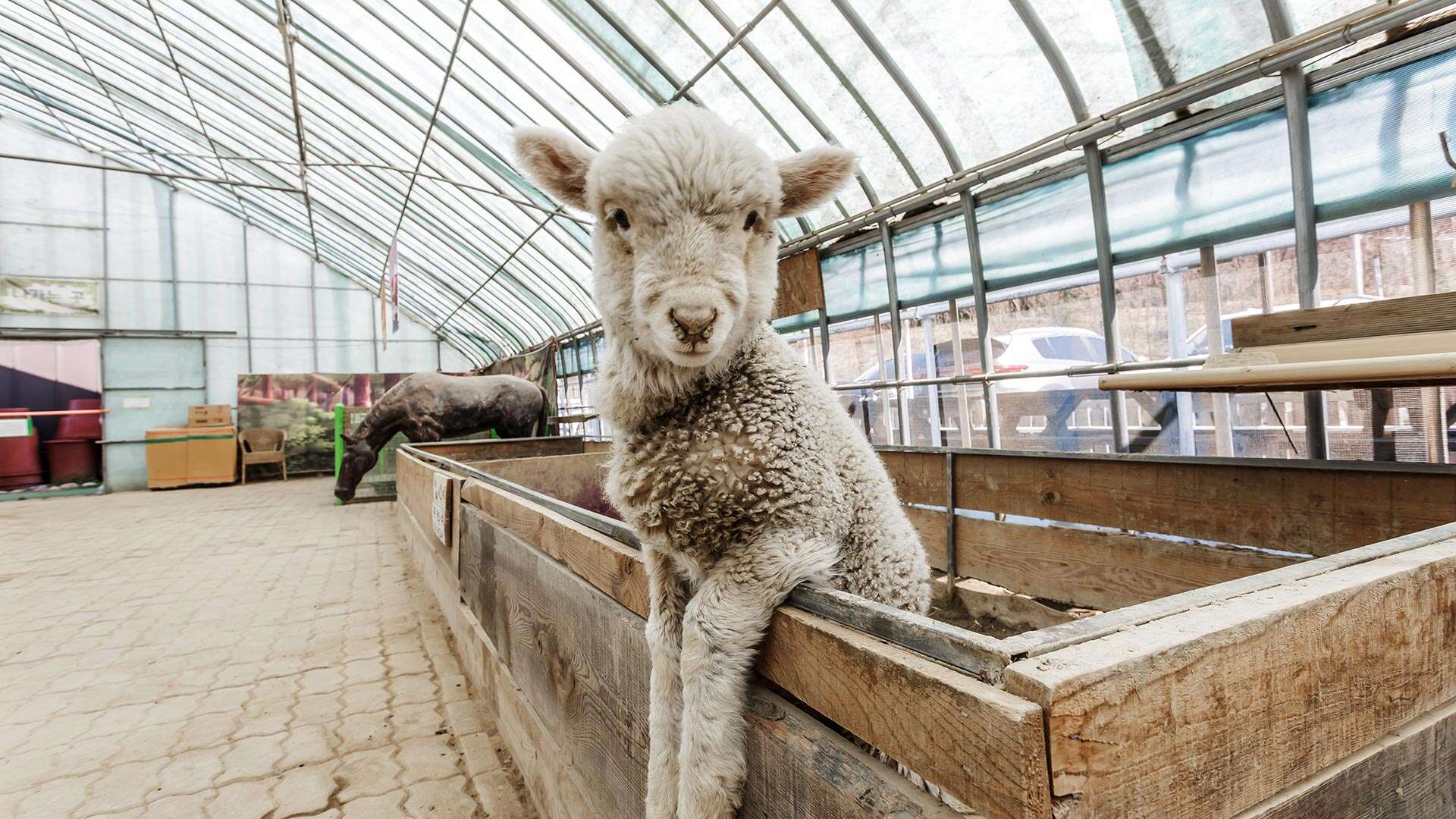 自然一起玩體驗學習博物館