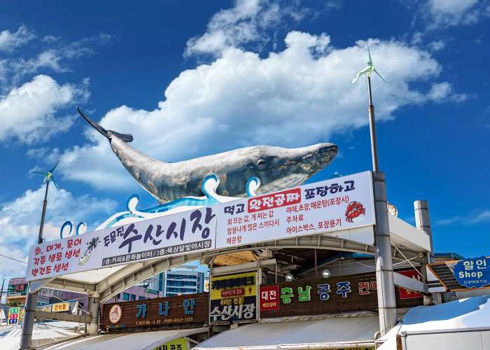 江陵注文津水産市場