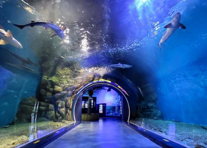 鏡浦水族館