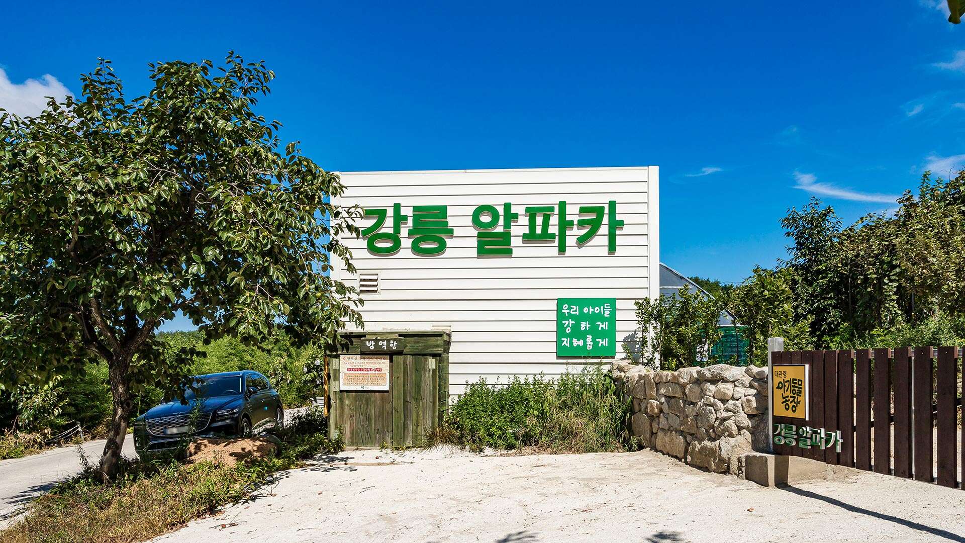 대관령아기동물농장