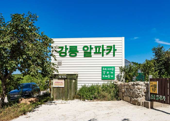 대관령아기동물농장