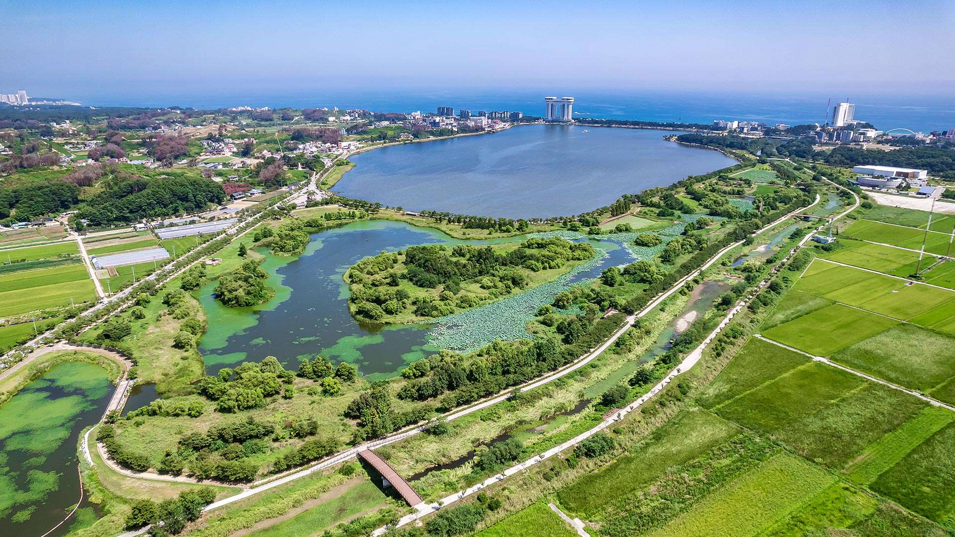 鏡浦生態湿地公園(キョンポホ・センテ・スプチゴンウォン)