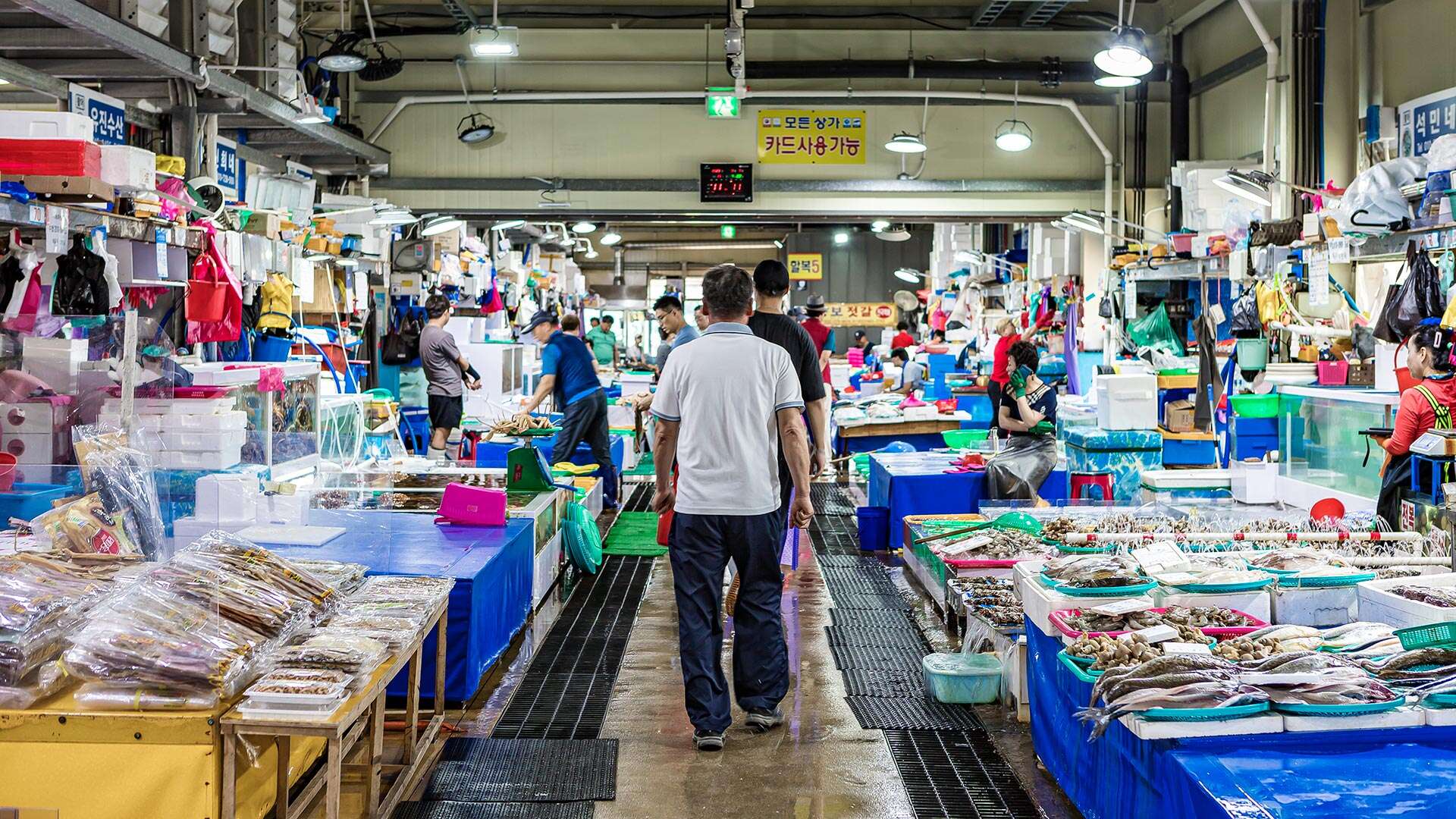 People who are purchased at Jumunjin Fish Market