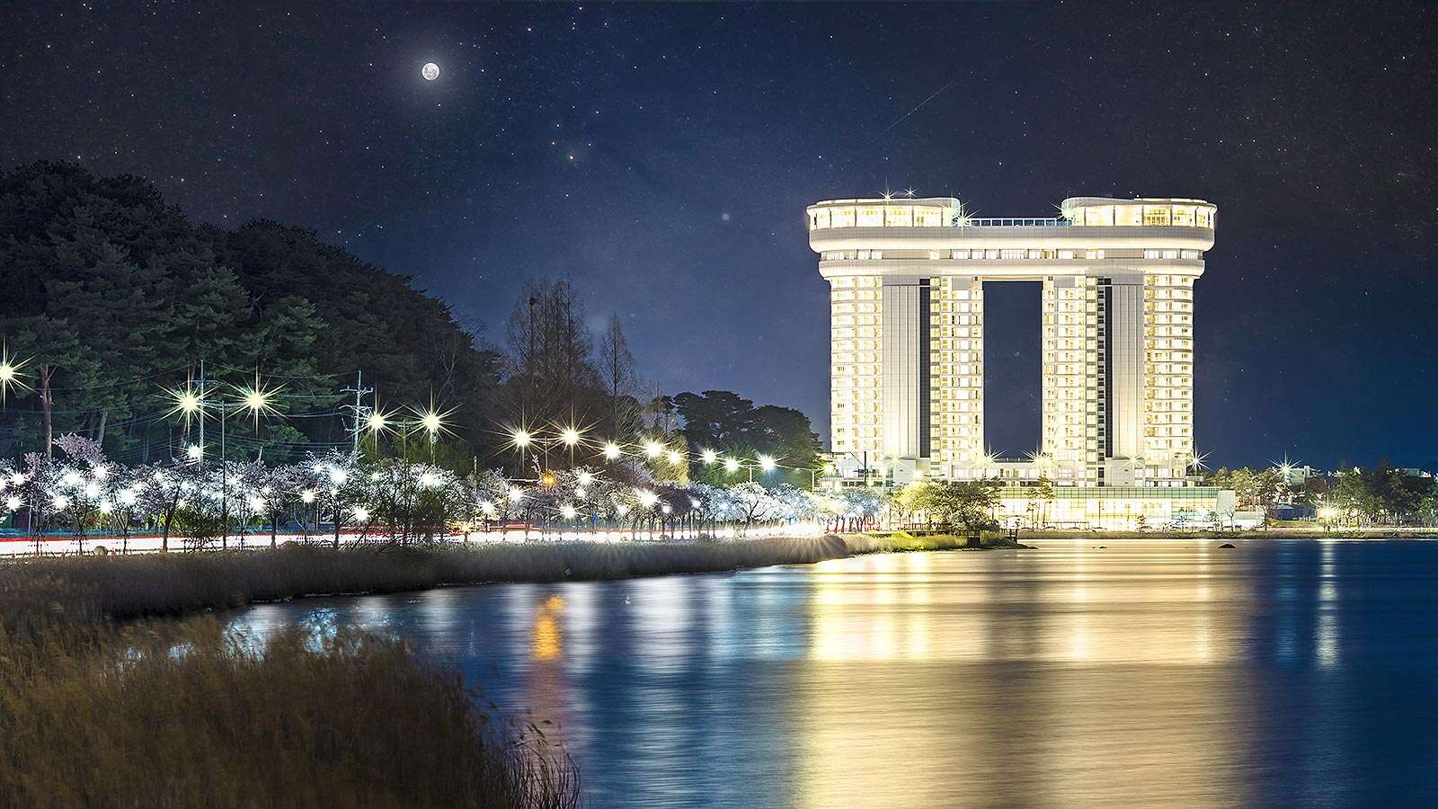 櫻花盛開的鏡浦湖夜景