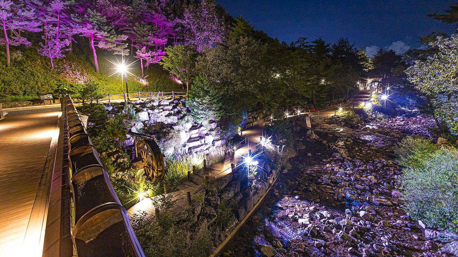 江陵松香树木园夜景灯光 04