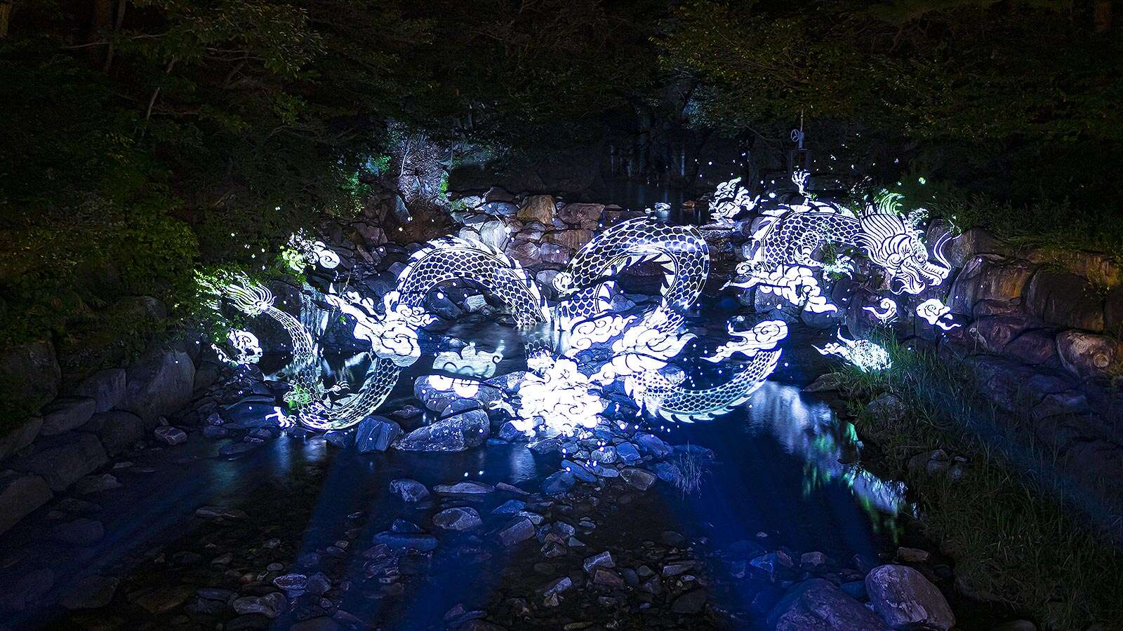 江陵ソルヒャン樹木園の夜間照明 01