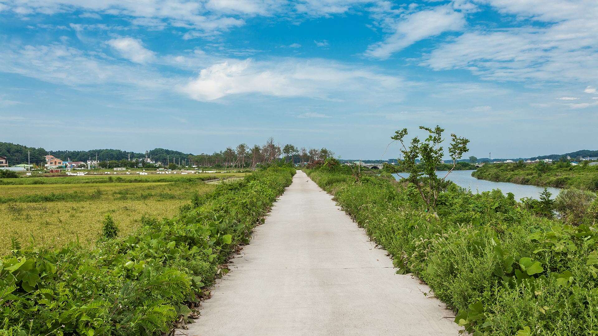 江陵Bau-gil（海松徑）4號路線