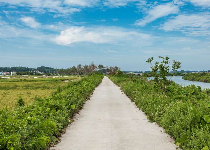 Gangneung Bau-gil Trail Course 4