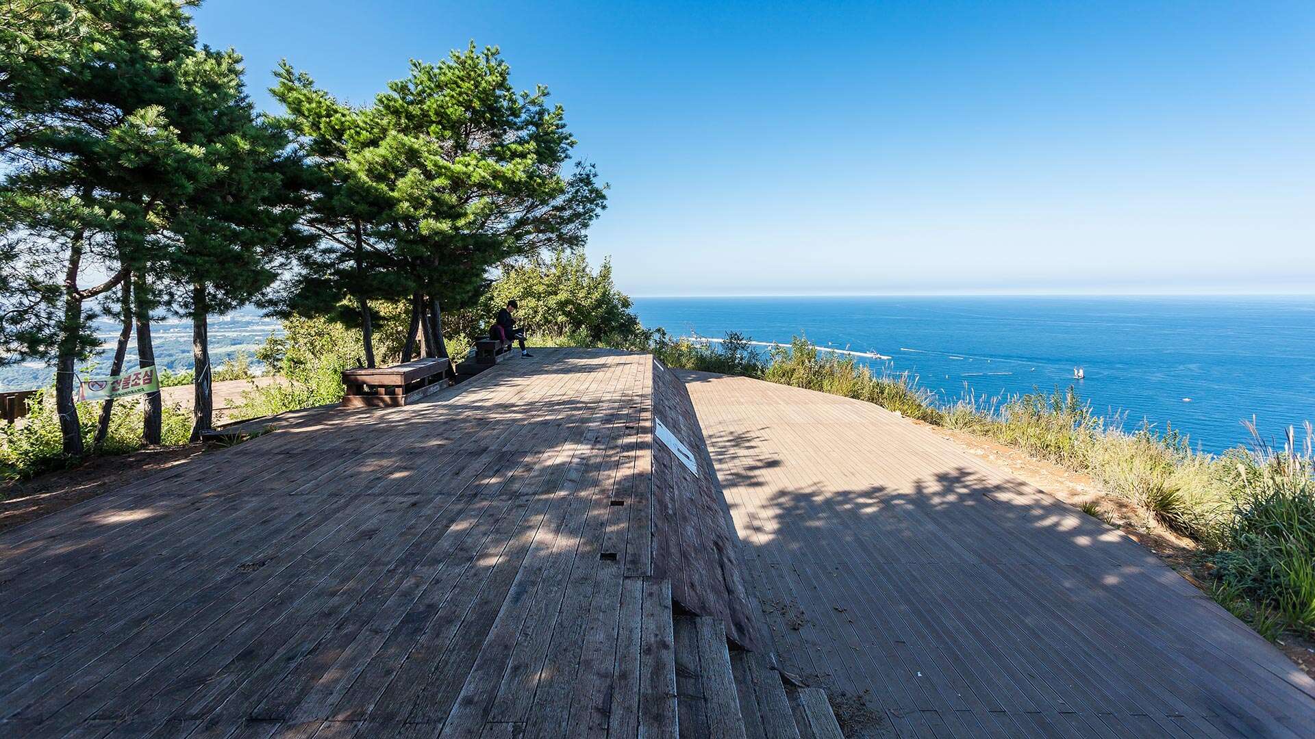 江陵Bau-gil（海松徑）8號路線