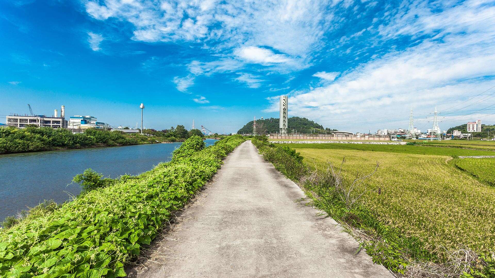 江陵Bau-gil（海松徑）7號路線