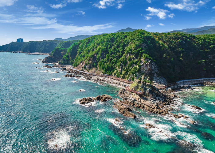 社交的なMBTIの「E」タイプにおすすめの旅行コース