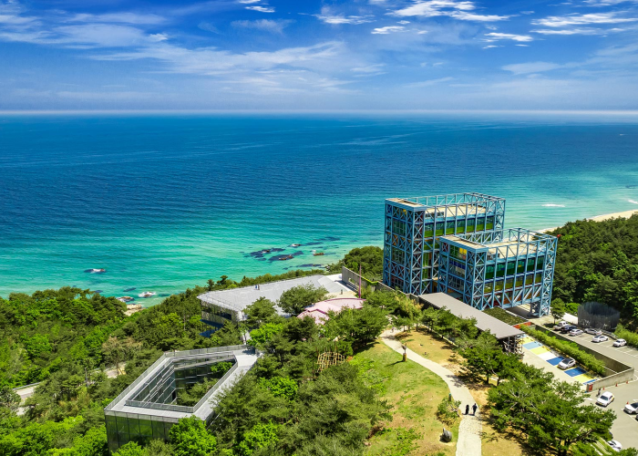 一生の思い出になる写真を撮りに行ってみませんか？