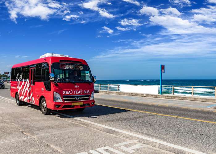 走るロマンチックなカフェの旅 シティ(SEA TEA)バス