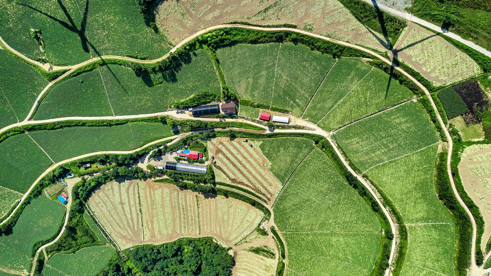 空から見たアンバンデギ村