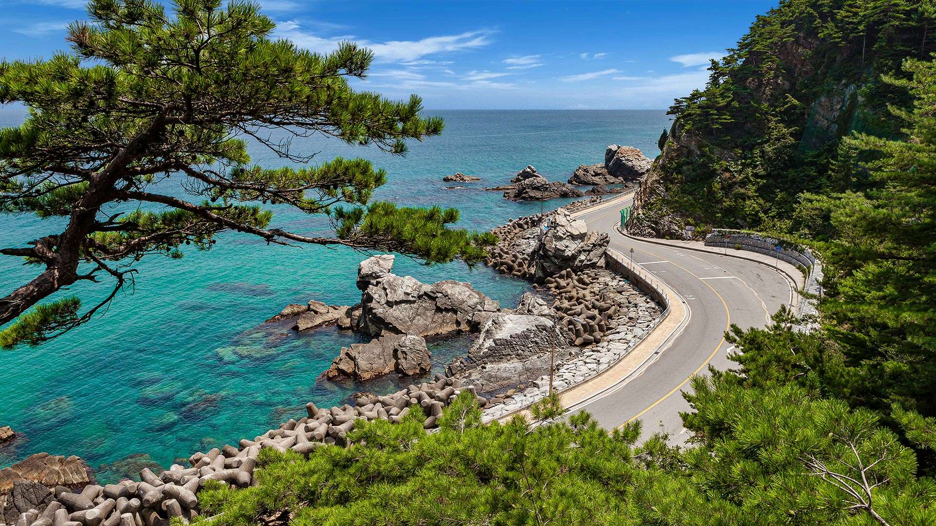 欣賞大海和岩層的獻花路沿海道路 06