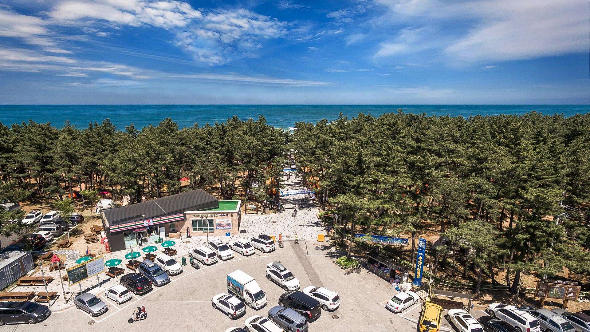 能看到大海和松樹的蓮谷海灘露營地