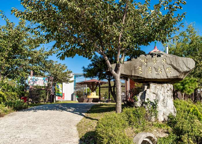 강릉쌍둥이동물농장