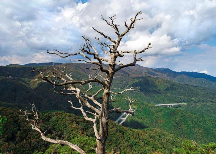 Jeowangsan