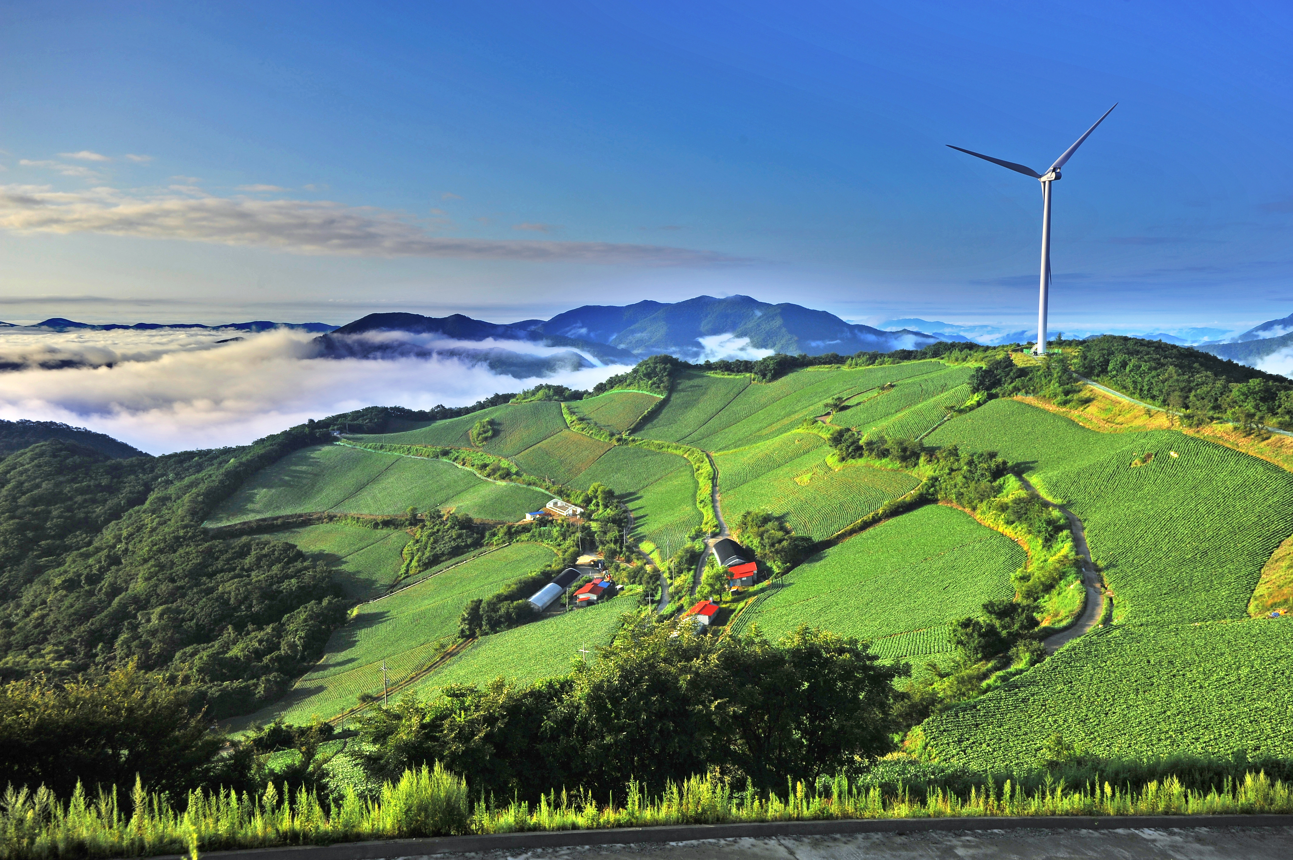 3. 강릉 왕산 안반데기.jpg